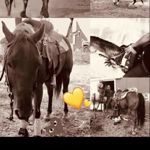 Meet your Posher, Naveh